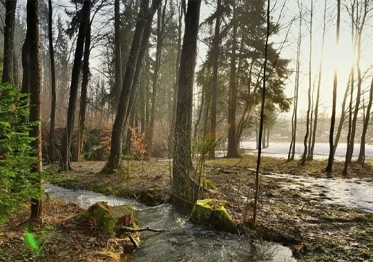 Okolí chalupy 2